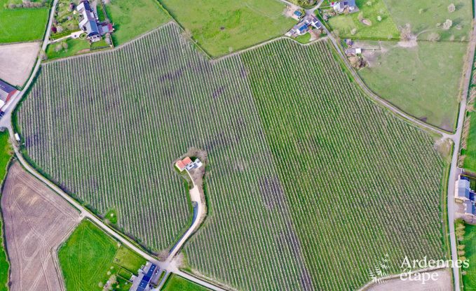 Luxe villa in Aubel voor 8 personen in de Ardennen