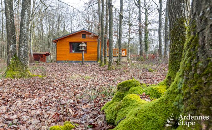 Moderne, hondvriendelijke chalet in de bossen rond Beauraing, Ardennen