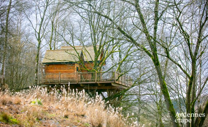 Buitengewoon in Bertrix voor 4/6 personen in de Ardennen