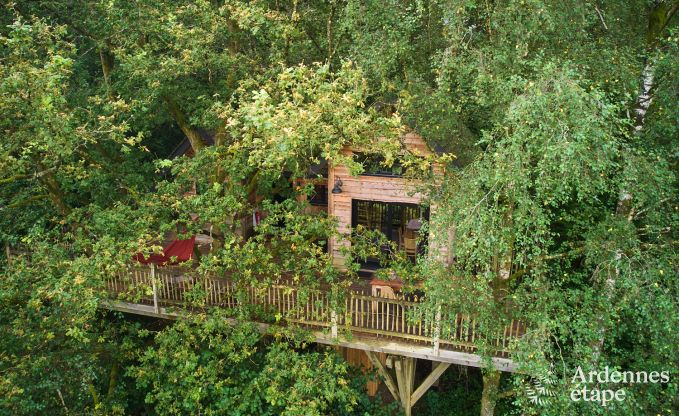 Unieke boomhut in Bertrix voor 4/6 personen in de Ardennen