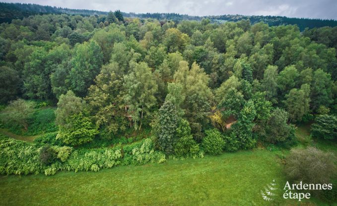 Unieke boomhut in Bertrix voor 4/6 personen in de Ardennen