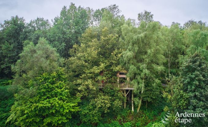 Unieke boomhut in Bertrix voor 4/6 personen in de Ardennen