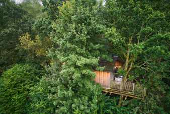 Boomhut voor 8 personen in de Ardennen (Bertrix)