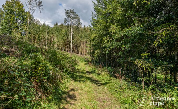 Luxe villa in Bertrix voor 11 personen in de Ardennen