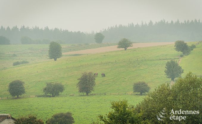 Vakantiewoning met zwembad in Bivre, Ardennen