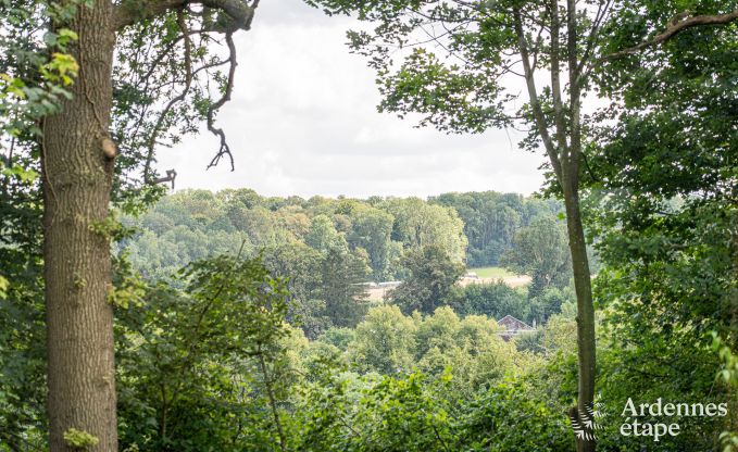 Prachtige, moderne vakantiewoning in Clavier, Ardennen