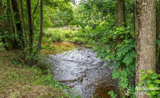 Vakantiewoning met zwembad en visvijver in Couvin, Ardennen