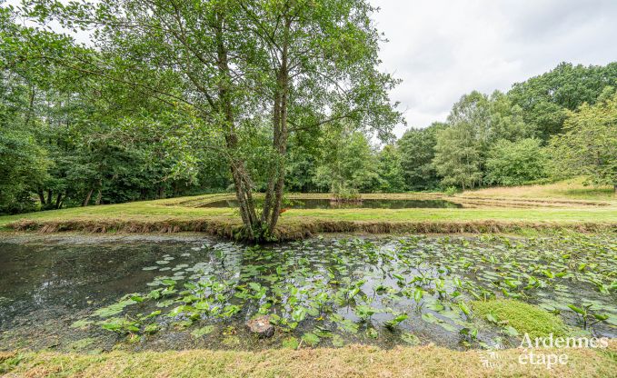 Vakantiewoning met zwembad en visvijver in Couvin, Ardennen