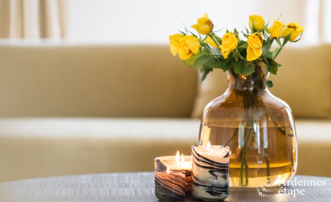 Cottage in Dinant voor 12 personen in de Ardennen