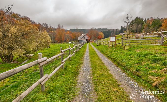 Vakantiehuis in Fauvillers voor 10 personen in de Ardennen