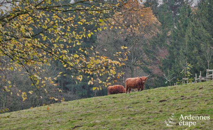 Vakantiehuis in Fauvillers voor 10 personen in de Ardennen