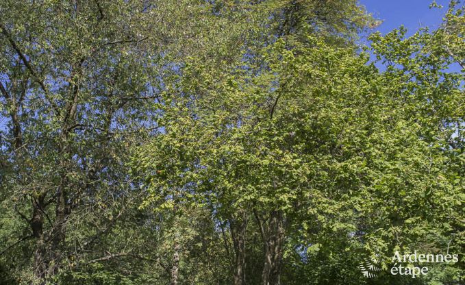 Vakantiehuis in Ferrires voor 32 personen in de Ardennen