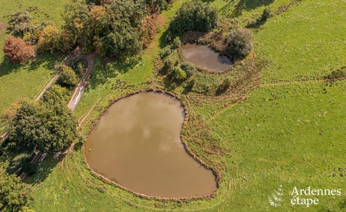 Gezellig en hondvriendelijk vakantiehuis voor 4 personen in Gesves, Ardennen