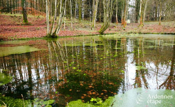 Kasteel in Gouvy voor 32 personen in de Ardennen