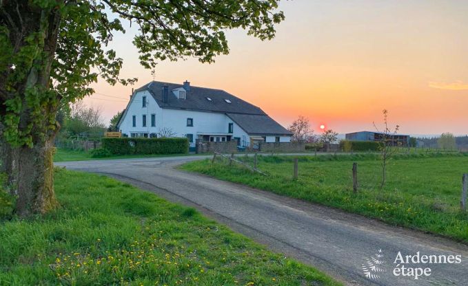 Vakantiehuis in Houffalize voor 10/12 personen in de Ardennen