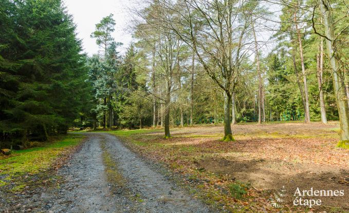 Luxe villa in La Roche-En-Ardenne voor 9 personen in de Ardennen