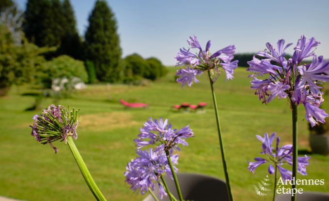 Moderne vakantiewoning in La Roche-en-Ardenne met tuin en terras