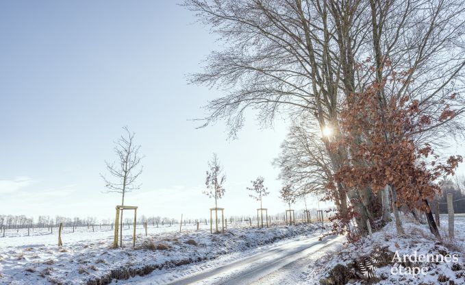 Vakantiehuis in Libramont voor 10 personen in de Ardennen