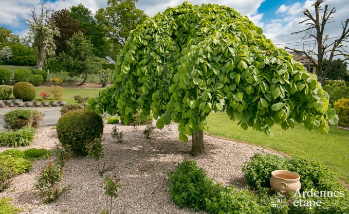 Luxe villa in Malmedy voor 12 personen in de Ardennen