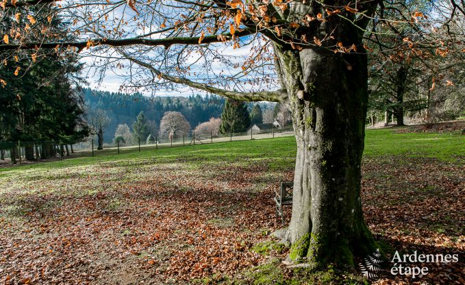 Vakantiehuis in Momignies voor 8 personen in de Ardennen