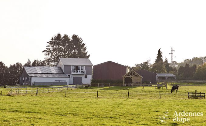 Vakantie op de boerderij in Nassogne voor 4 personen in de Ardennen