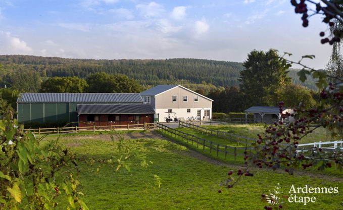 Vakantie op de boerderij in Nassogne voor 4 personen in de Ardennen