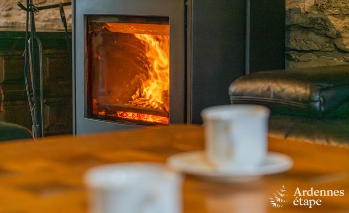 Vakantiehuis in Neufchteau voor 8 personen in de Ardennen