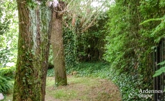 Cottage in Oteppe voor 4 personen in de Ardennen