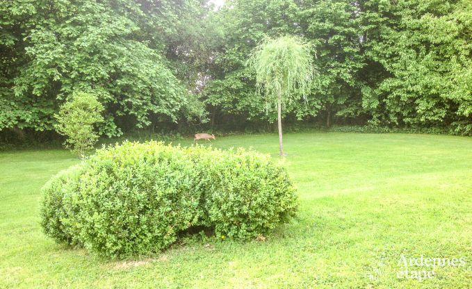 Cottage in Oteppe voor 4 personen in de Ardennen