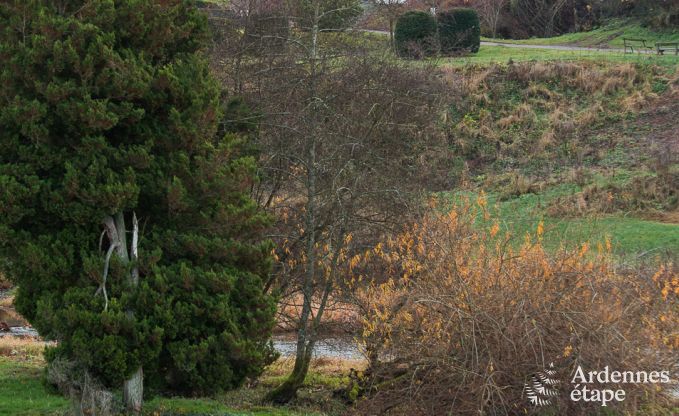 Vakantiehuis in Poupehan voor 8 personen in de Ardennen