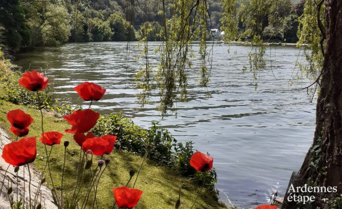 Vakantiehuis in Profondeville voor 4 personen in de Ardennen