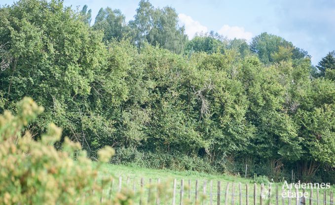 Gezellige vakantiewoning voor koppels en gezinnen in Profondeville, Ardennen