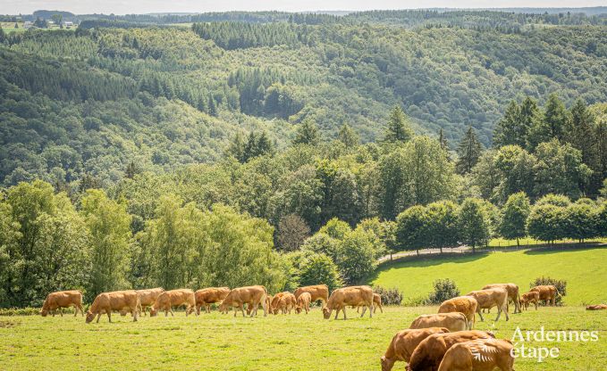 Moderne vakantiewoning met 5 slaapkamers in Rochehaut, Ardennen