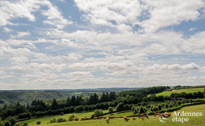 Moderne vakantiewoning met 5 slaapkamers in Rochehaut, Ardennen