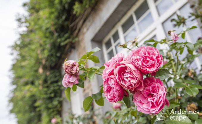 Cottage in Saint-Hubert voor 18 personen in de Ardennen