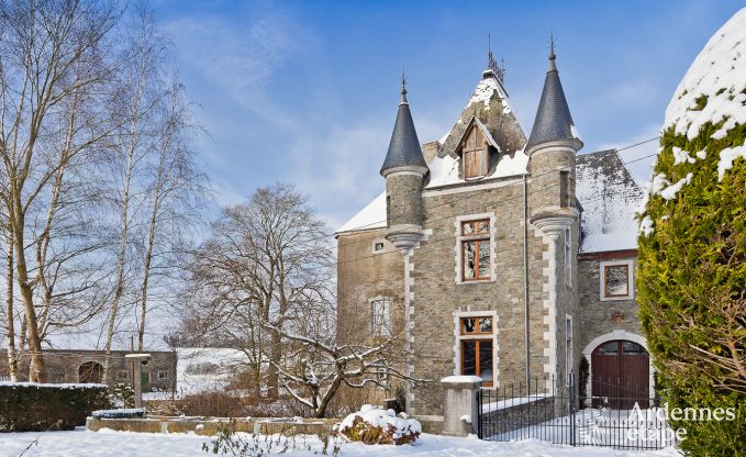 Historisch kasteel in Sainte-Ode voor 46 personen, met zwembad