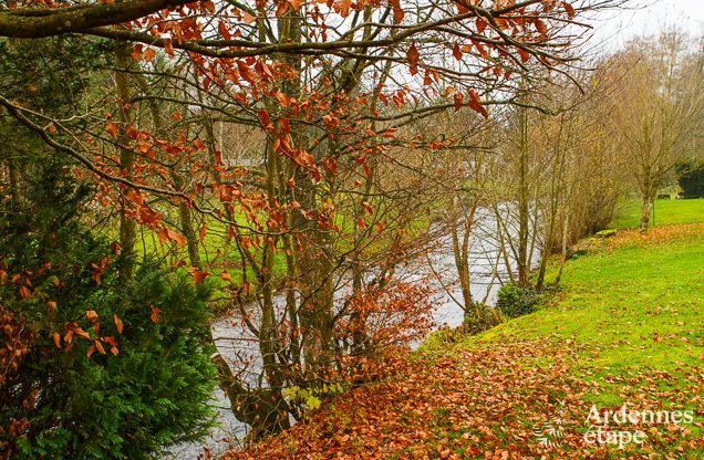 Vakantiehuis in Sainte-Ode: vredig toevluchtsoord in de Ardennen voor 6 personen met moderne voorzieningen