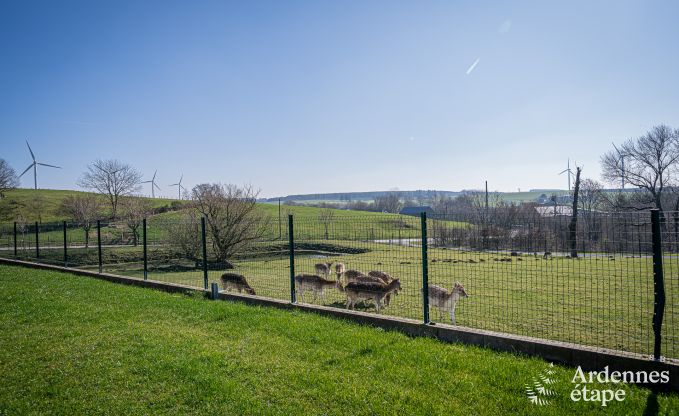 Luxueuze en hondvriendelijke vakantiewoning met zwembad  in Sainte-Ode, Ardennen