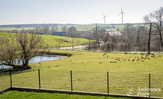 Gezellige familievakantiehuis met zwembad  in Sainte-Ode, Ardennen