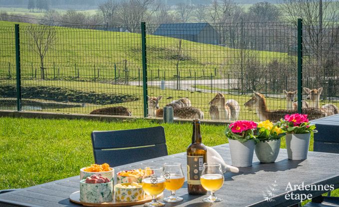 Gezellige familievakantiehuis met zwembad  in Sainte-Ode, Ardennen