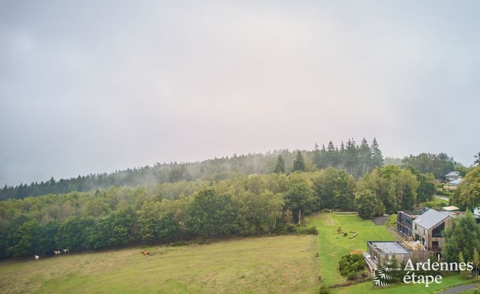 Ruime vakantiewoning in chaletstijl met zwembad in Trois-Ponts, Ardennen