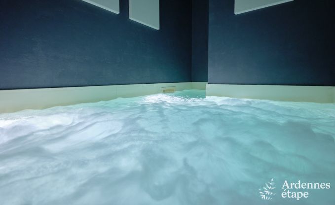 Luxe vakantiehuis met priv wellnesscentrum in Vaux-sur-Sre: sauna, jacuzzi, hammam en ontspanningsruimte