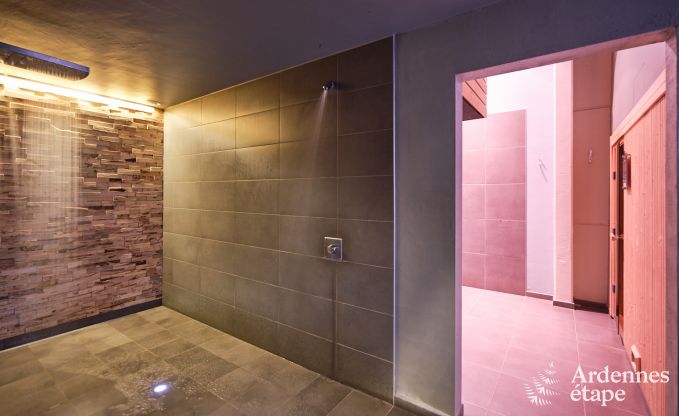 Luxe vakantiehuis met priv wellnesscentrum in Vaux-sur-Sre: sauna, jacuzzi, hammam en ontspanningsruimte