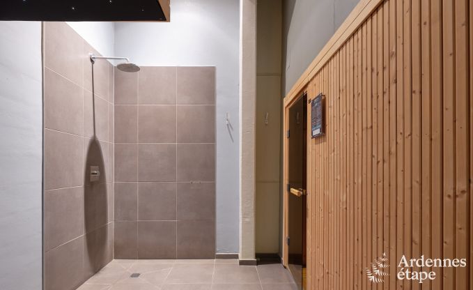 Luxe vakantiehuis met priv wellnesscentrum in Vaux-sur-Sre: sauna, jacuzzi, hammam en ontspanningsruimte