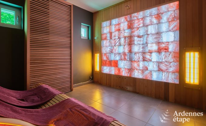 Luxe vakantiehuis met priv wellnesscentrum in Vaux-sur-Sre: sauna, jacuzzi, hammam en ontspanningsruimte