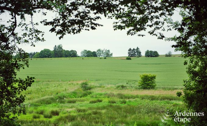 Luxe gte met priv wellnesscentrum en zwembad in Vaux-sur-Sre