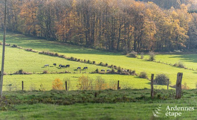 Comfortabel chalet in Vencimont voor 10 personen met moderne voorzieningen en privtuin in de Ardennen