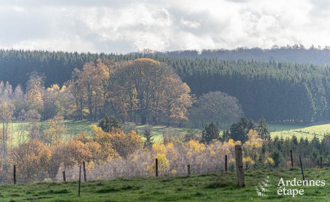 Comfortabel chalet in Vencimont voor 10 personen met moderne voorzieningen en privtuin in de Ardennen