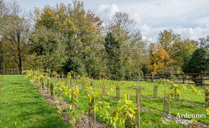 Onvergetelijk verblijf in Villers-en-Fagne: Vakantiehuis met sauna, jacuzzi en adembenemend uitzicht in de Ardennen.