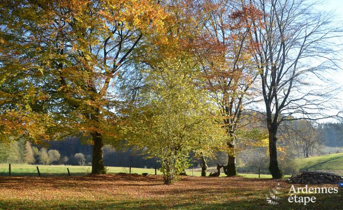 Vakantiehuis in Waimes voor 8 personen in de Ardennen